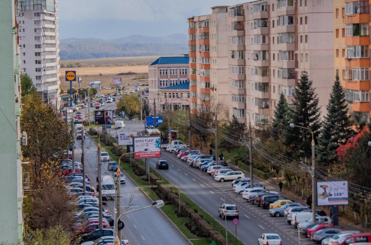 Butterfly Apartment Sibiu Bagian luar foto